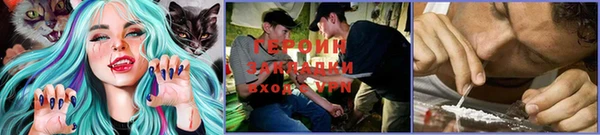 сатива Белокуриха