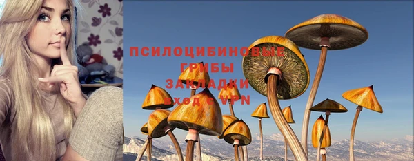 mdpv Баксан
