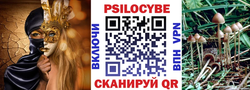 площадка Telegram  Мышкин  Галлюциногенные грибы мицелий  MEGA tor 